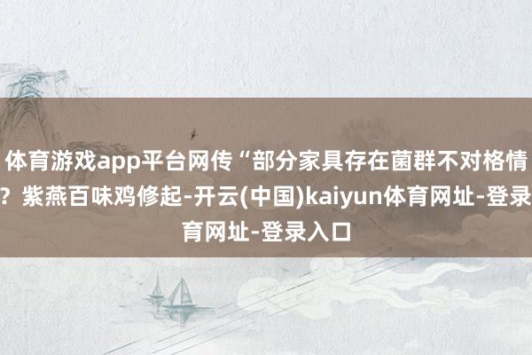 体育游戏app平台网传“部分家具存在菌群不对格情况”？紫燕百味鸡修起-开云(中国)kaiyun体育网址-登录入口
