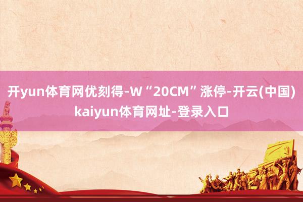 开yun体育网优刻得-W“20CM”涨停-开云(中国)kaiyun体育网址-登录入口