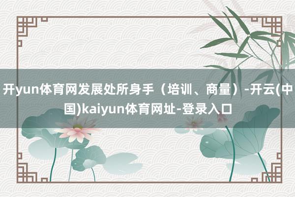 开yun体育网发展处所身手（培训、商量）-开云(中国)kaiyun体育网址-登录入口