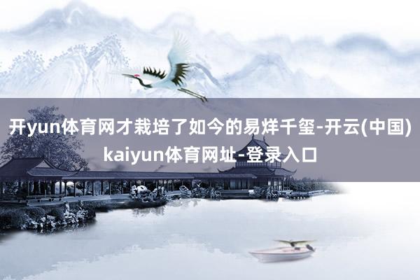 开yun体育网才栽培了如今的易烊千玺-开云(中国)kaiyun体育网址-登录入口