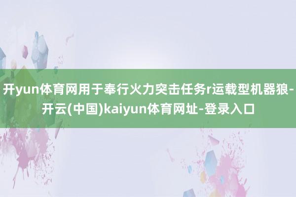 开yun体育网用于奉行火力突击任务r运载型机器狼-开云(中国)kaiyun体育网址-登录入口