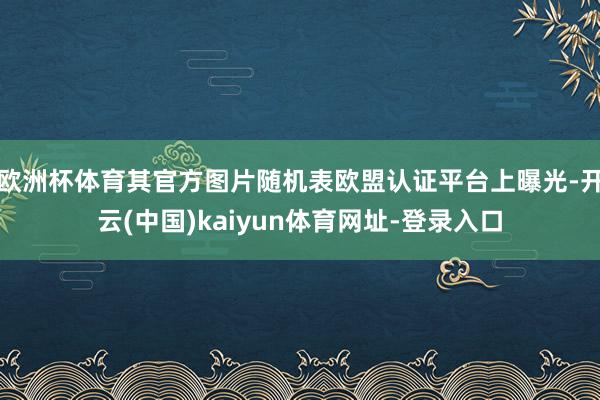 欧洲杯体育其官方图片随机表欧盟认证平台上曝光-开云(中国)kaiyun体育网址-登录入口