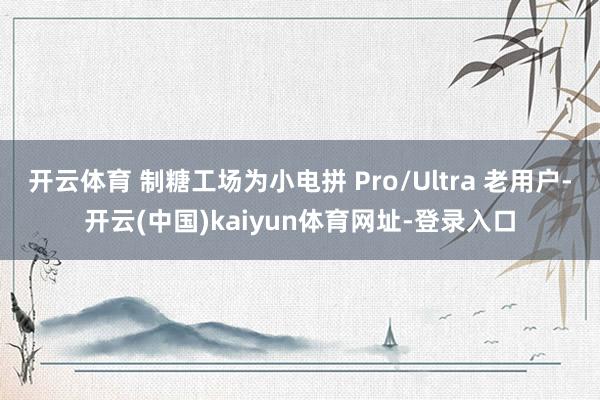 开云体育 制糖工场为小电拼 Pro/Ultra 老用户-开云(中国)kaiyun体育网址-登录入口
